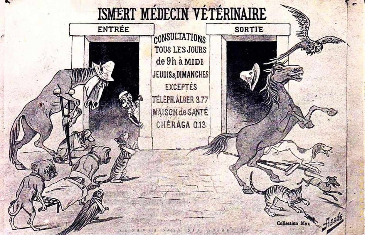 Cheraga - Pub Veterinaire Ismert.jpg